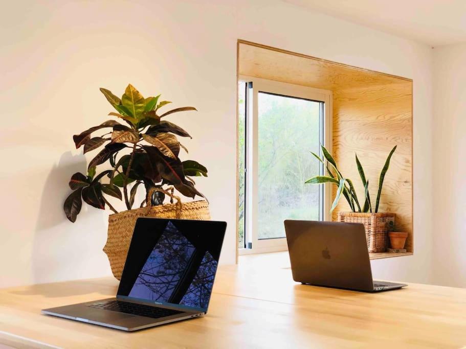 Eco Tiny Home & Office For Digital Nomads Vallmoll Eksteriør bilde