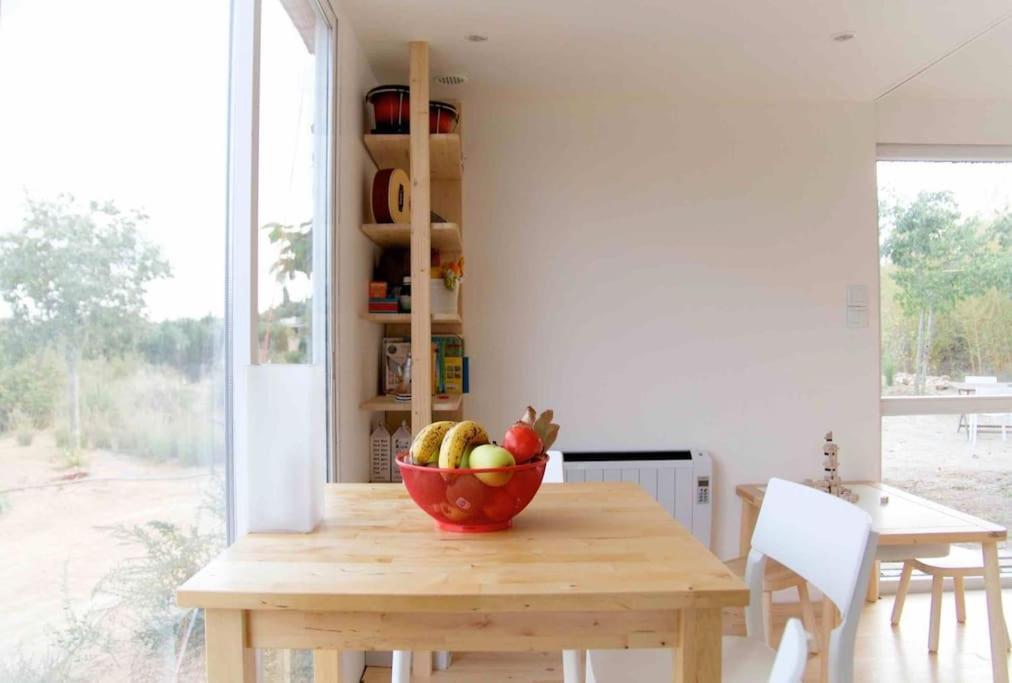 Eco Tiny Home & Office For Digital Nomads Vallmoll Eksteriør bilde