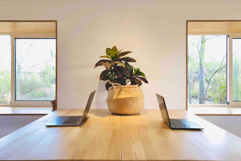 Eco Tiny Home & Office For Digital Nomads Vallmoll Eksteriør bilde