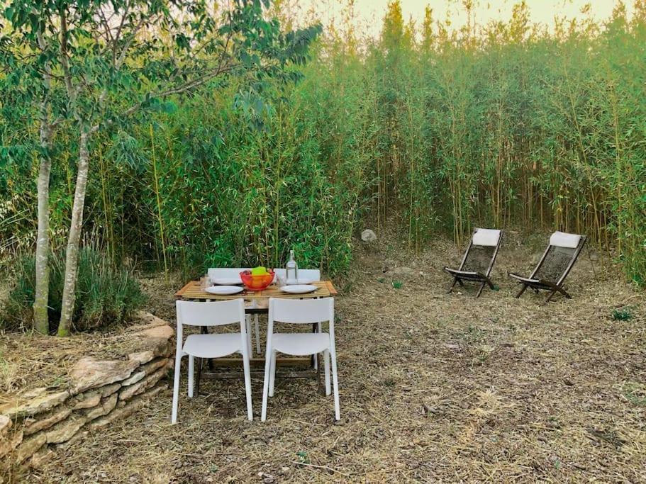 Eco Tiny Home & Office For Digital Nomads Vallmoll Eksteriør bilde