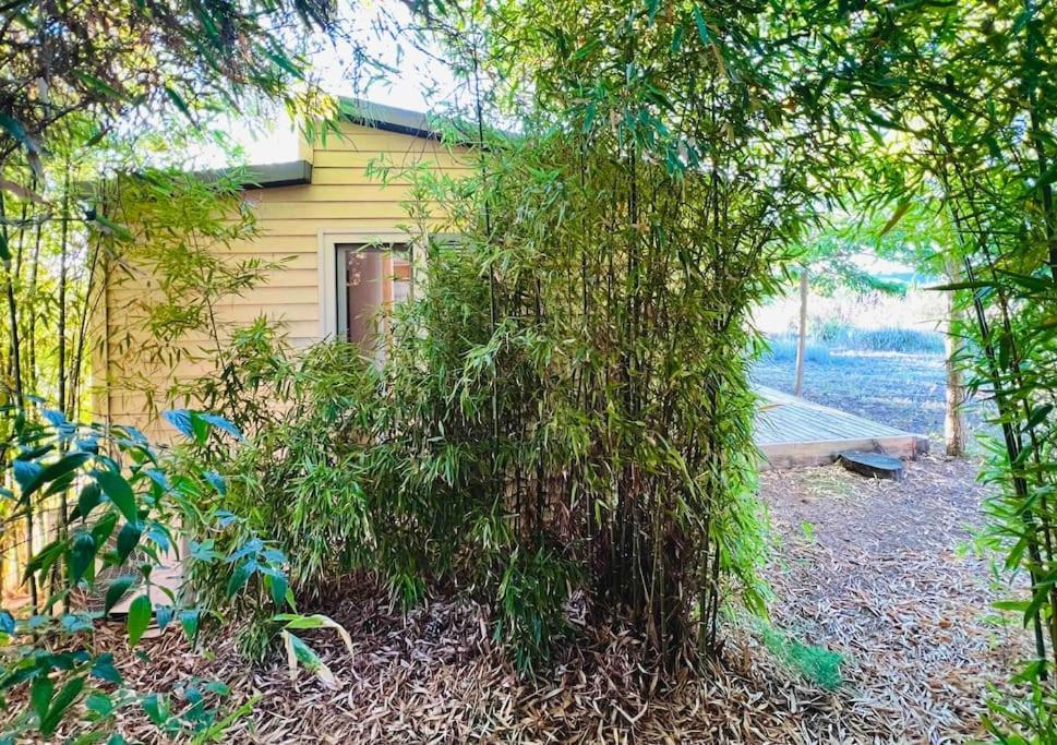 Eco Tiny Home & Office For Digital Nomads Vallmoll Eksteriør bilde